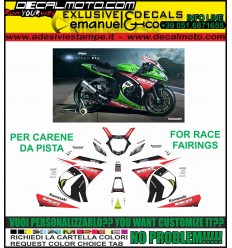 ZX 10 R NINJA 2011 - 2015 REPLICA SBK 2013 WORLD CHAMPIONS CARENE PISTA